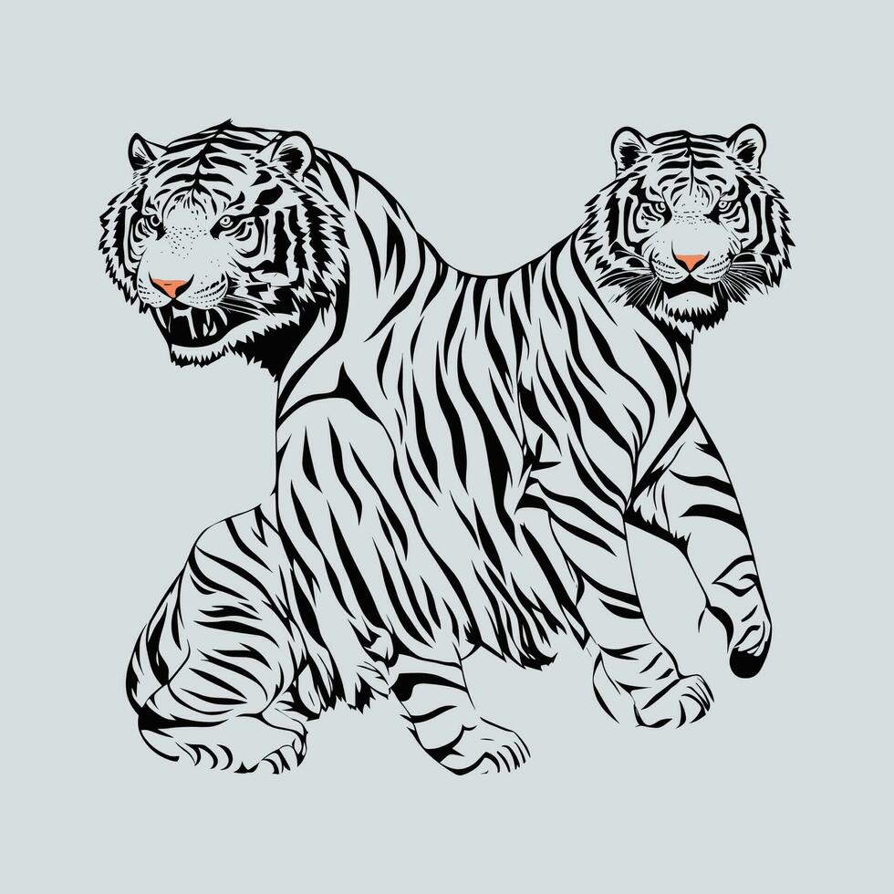 en teckning av två sibirisk tigrar. vektor