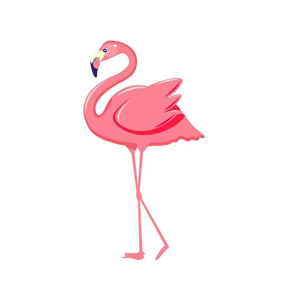 rosa Flamingo-Vektor-Illustration isoliert auf weißem Hintergrund. vektor