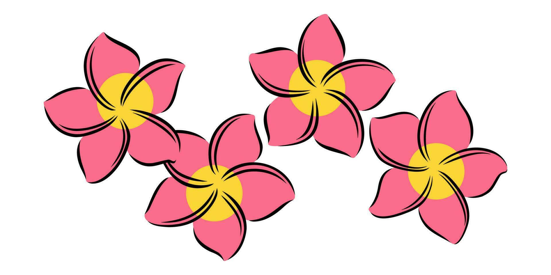 Frangipani oder Plumeria exotisch Sommer- Blume. graviert Frangipani isoliert im Weiß Hintergrund. Vektor Illustration