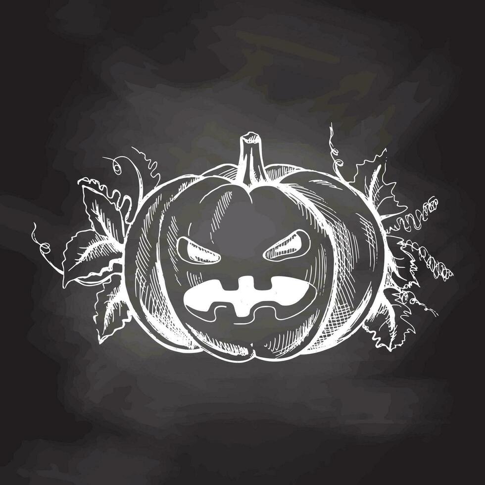 Vektor Hand gezeichnet Halloween Illustration. detailliert retro Stil handgemalt unheimlich Kürbis skizzieren isoliert auf Tafel Hintergrund. Jahrgang skizzieren Element zum Etiketten, Verpackung und Karten Design.