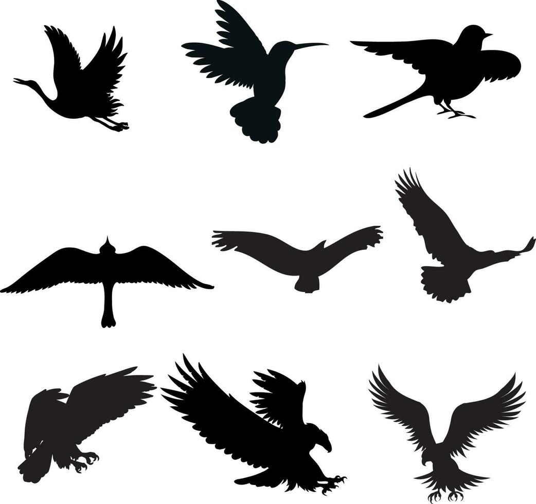einstellen von Unterschiede Vögel Silhouette Vektor Illustration