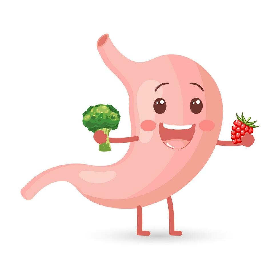 friska glad mänsklig mage karaktär med grönsaker och frukter. friska diet. anatomi av de matsmältnings systemet. vektor i platt stil