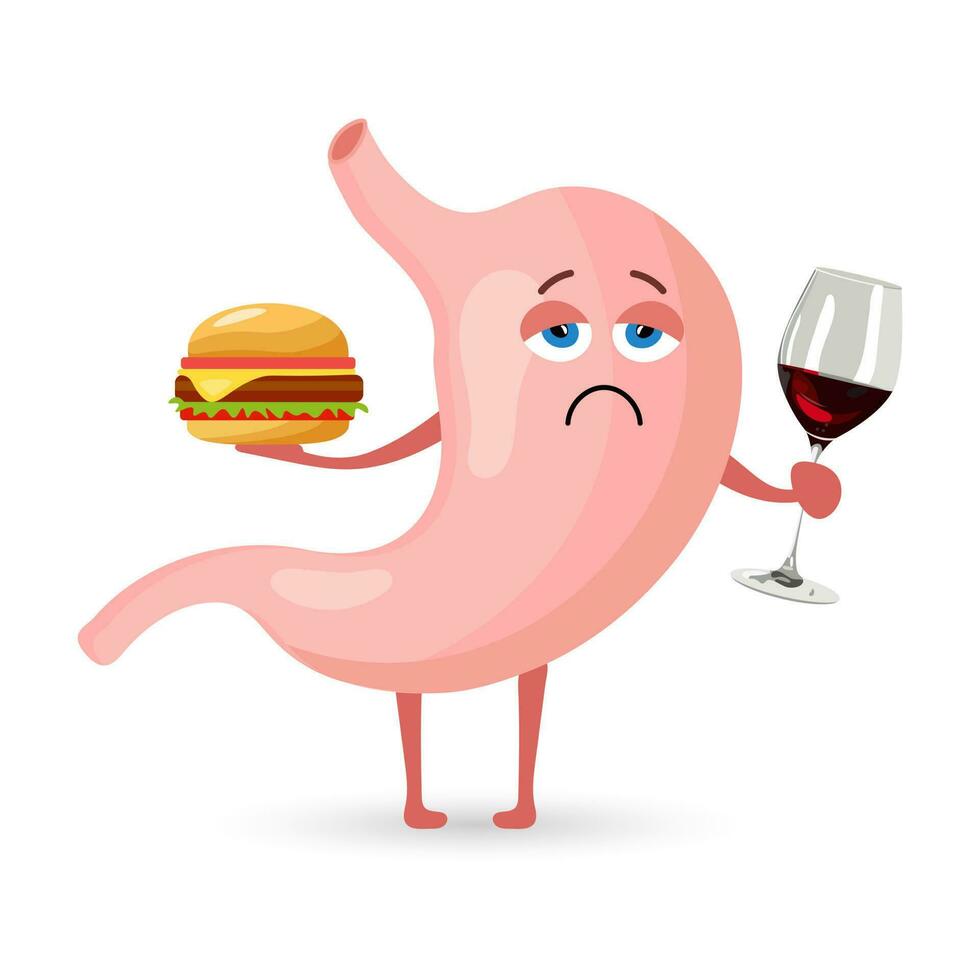 ungesund Mensch Bauch Charakter ist halten Burger und Alkohol. Essen, Bauch Schmerz. Anatomie von das Verdauungs- System. Vektor im eben Stil