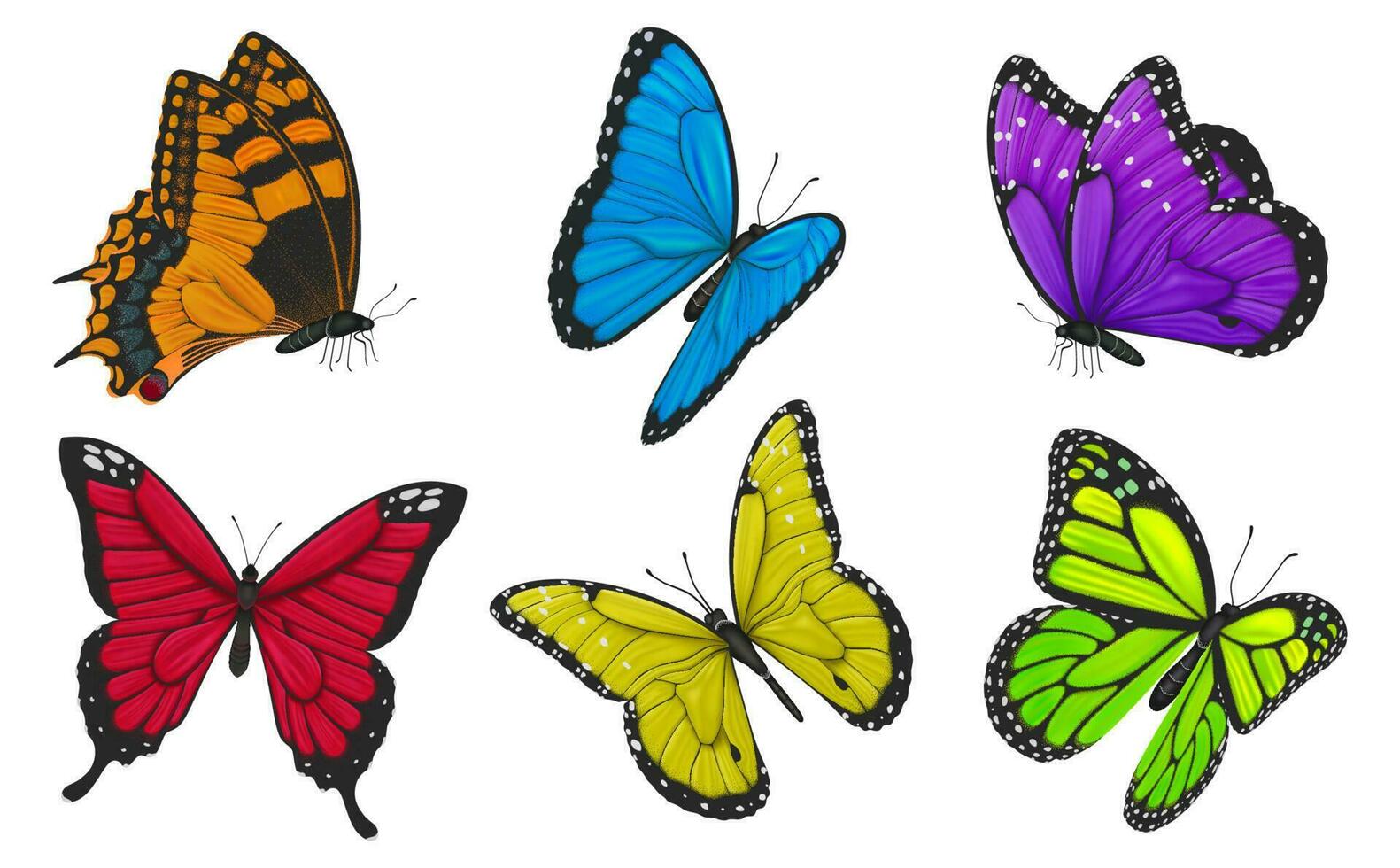 einstellen von bunt Schmetterlinge. Vektor Illustration.
