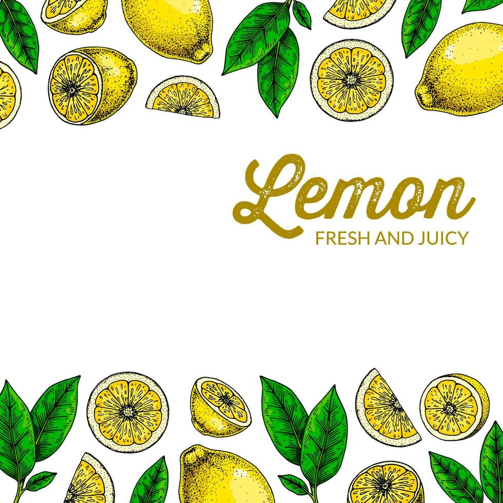 fyrkant citron- bakgrund. hand dragen färgrik vektor illustration i skiss stätta. design för förpackning, logotyp, inbjudan, hälsning kort