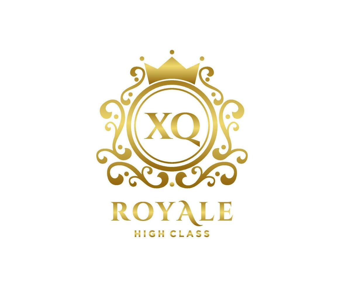 gyllene brev xq mall logotyp lyx guld brev med krona. monogram alfabet . skön kunglig initialer brev. vektor