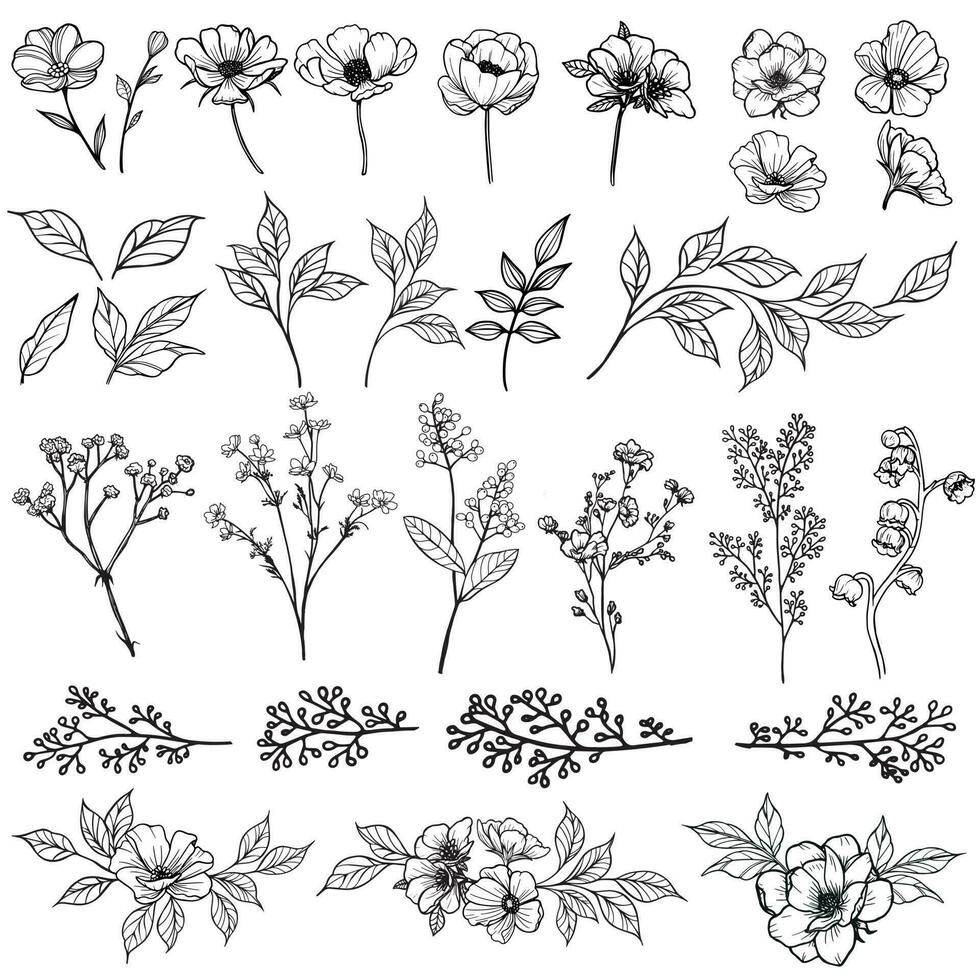 vild blommor och växter översikt dekorativ samling vektor