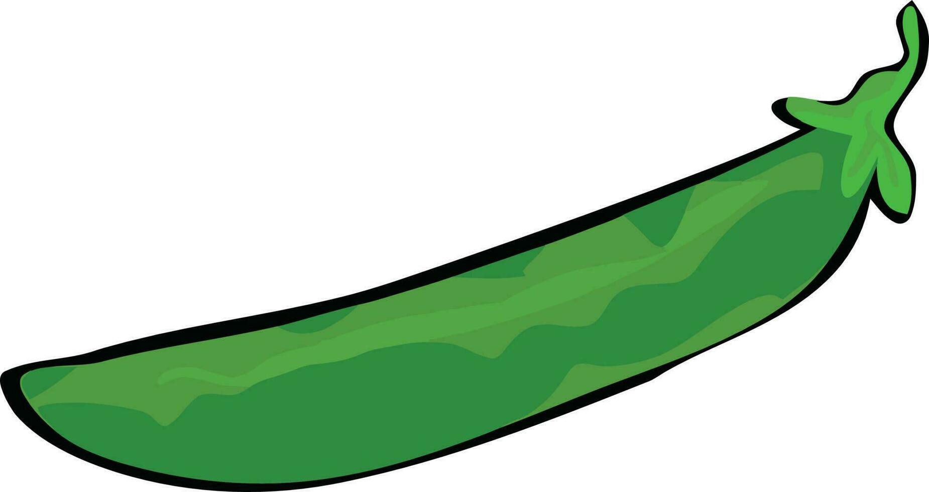 grön böna illustration vektor