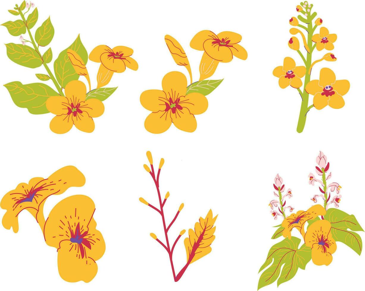 uppsättning av blommor. uppsättning av gul blommor och löv. hand dragen vektor illustration isolerat på vit bakgrund.