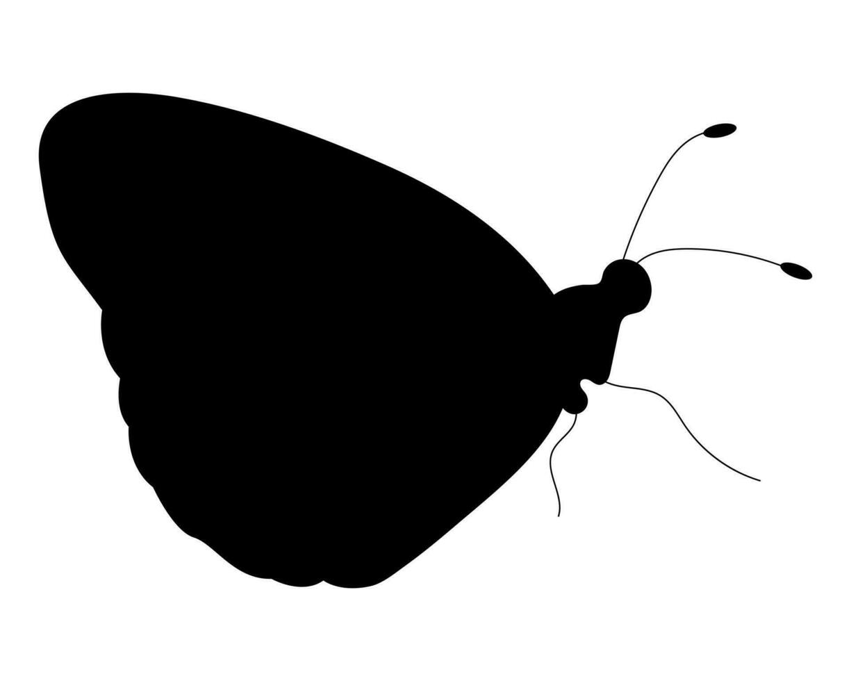 fjäril svart silhuett. fjäril ikon isolerat på vit bakgrund. vektor