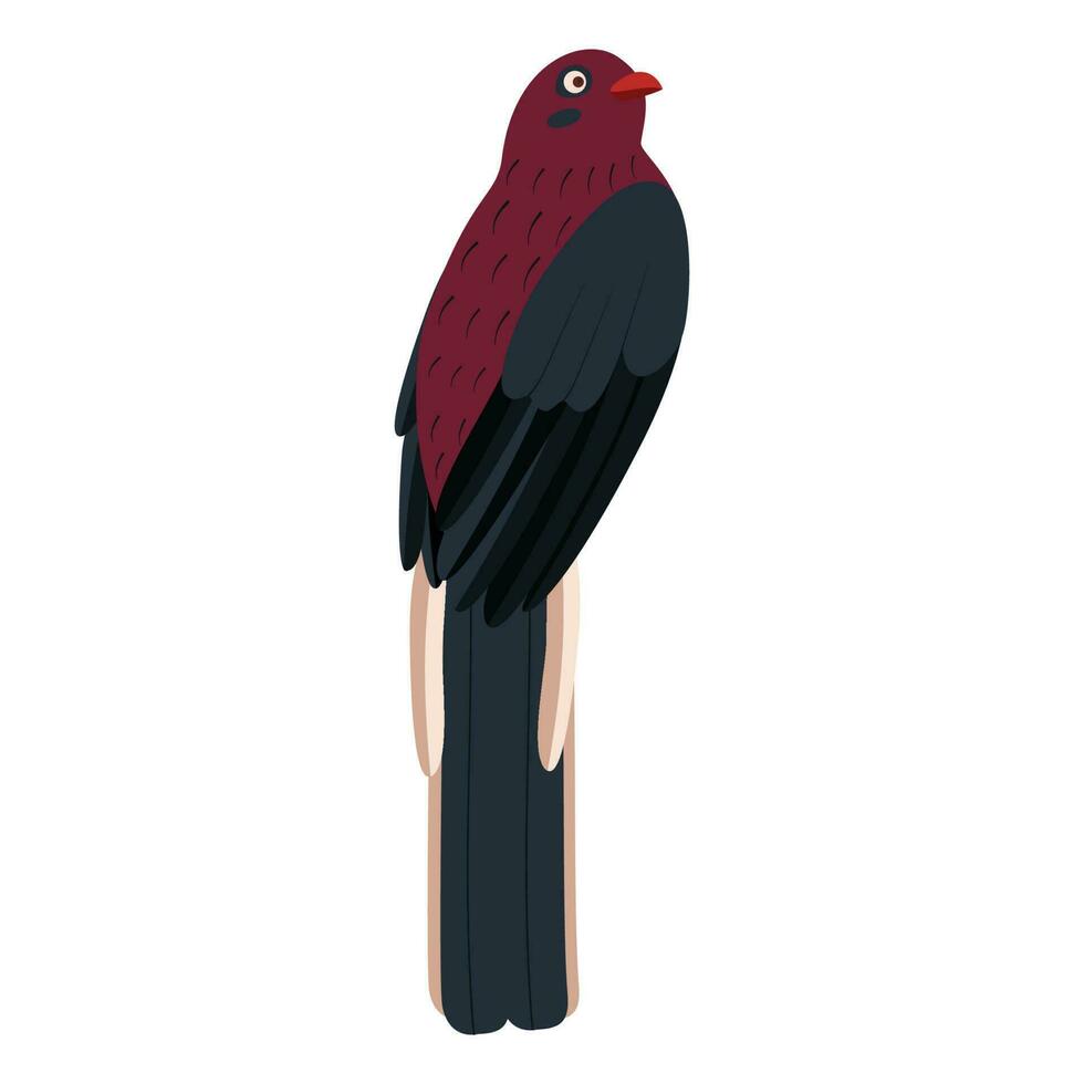 söt, tecknad serie trogon fågel. platt vektor illustration.