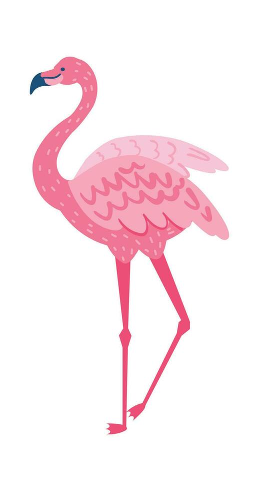 Rosa Flamingo isoliert auf Weiß Hintergrund. Fauna Tier vektor