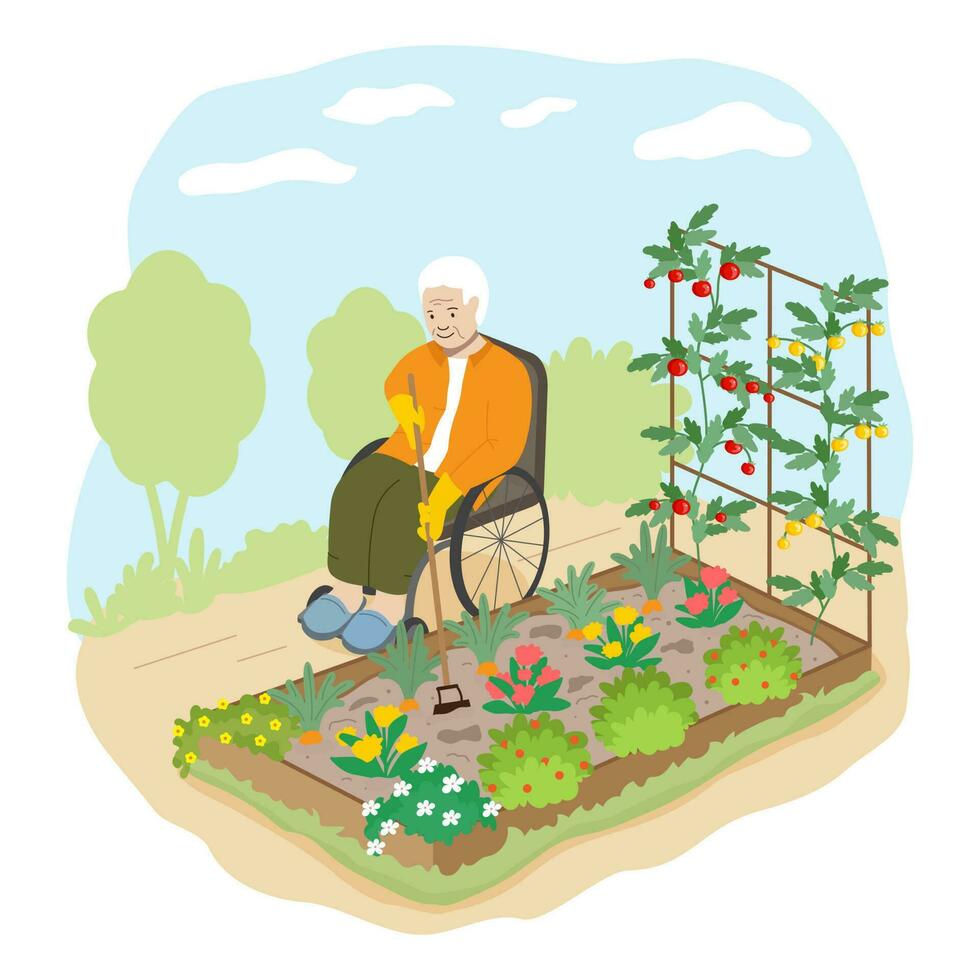 ein Alten Mann im ein Rollstuhl nimmt Pflege von das Pflanzen im das Gemüse Garten vektor
