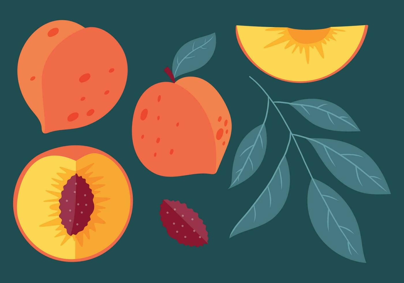 en hela persika och en halv eller en skiva av frukt med en sten, en kvist med löv. vektor platt uppsättning av isolerat nektarin illustrationer.