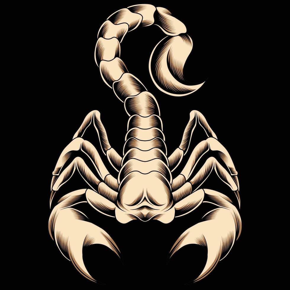 skorpion vektor illustration