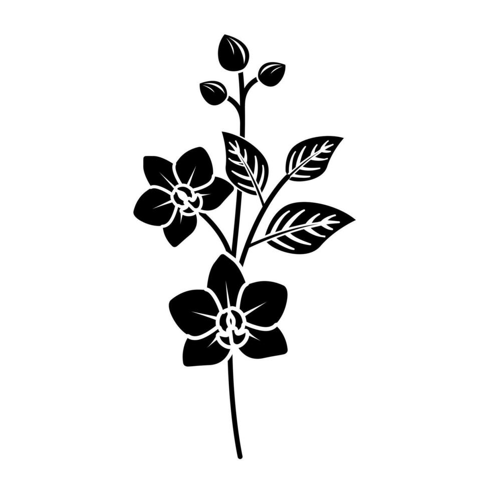 Illustration Vektor Grafik von Orchidee Blume im ein Weiß Hintergrund. perfekt zum Symbol, Symbol, Tätowierung, Bildschirm Drucken, usw. Orchidee ist einer von Indonesiens National Blumen.