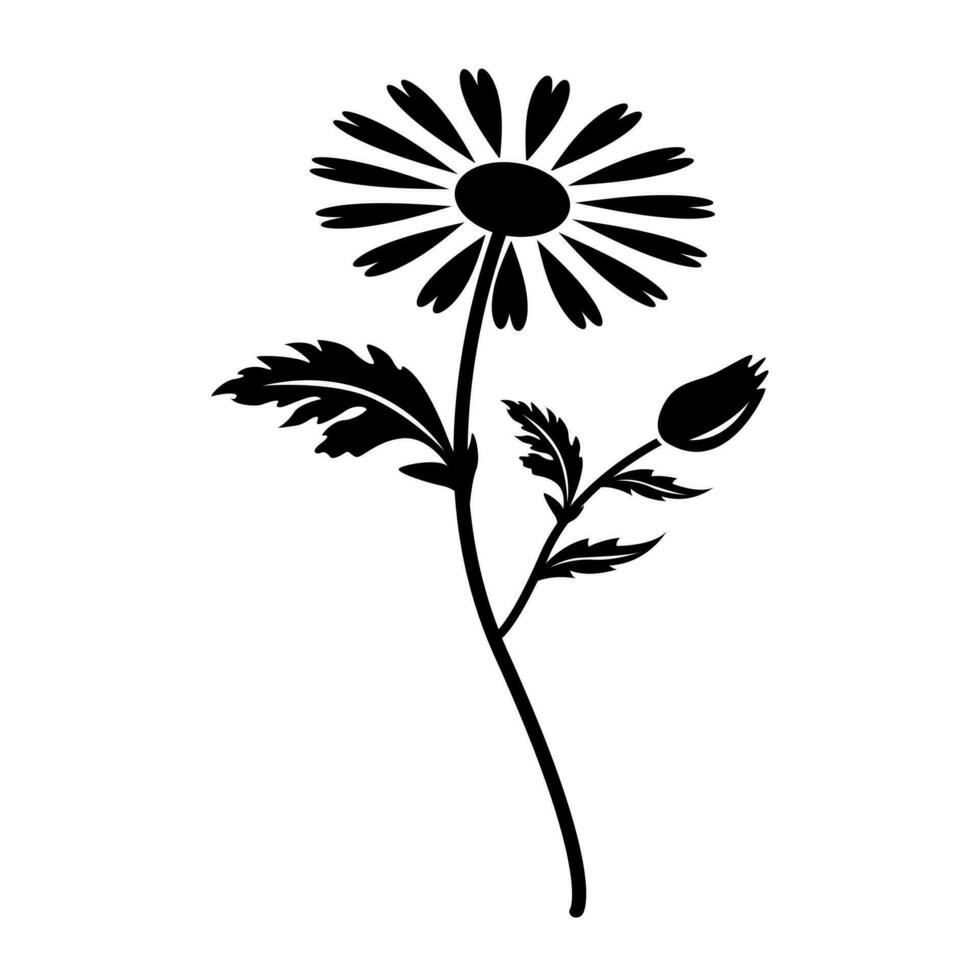 Illustration Vektor Grafik von Kamille Blume im ein Weiß Hintergrund. perfekt zum Symbol, Symbol, Tätowierung, Bildschirm Drucken, usw.