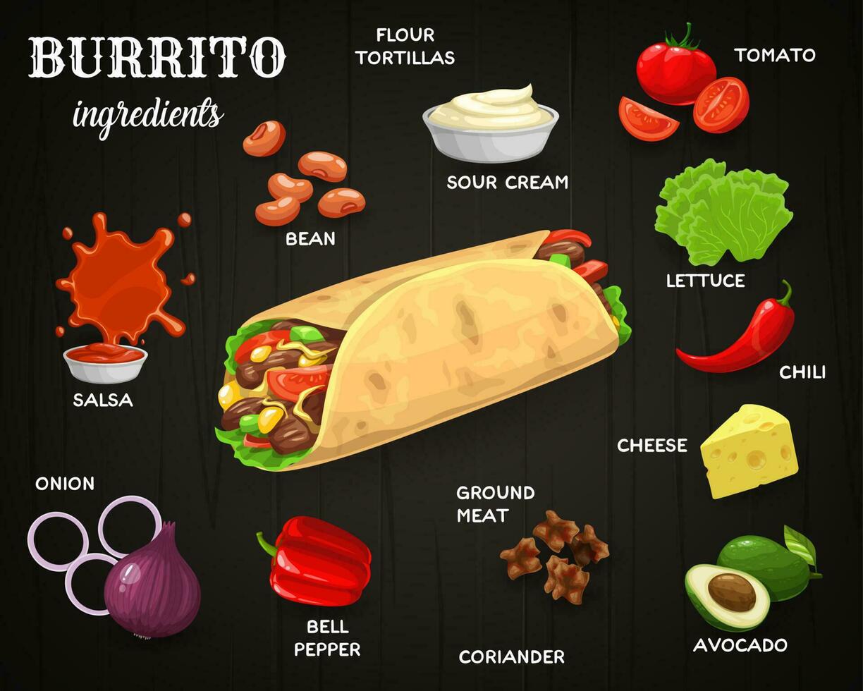 Mexikaner Burrito Zutaten Vektor Banner