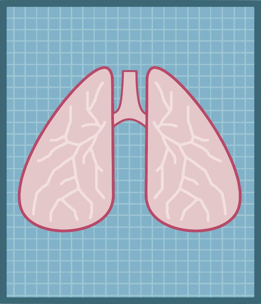 medizinisch Tests und Diagnose. Probleme Atmung und Lunge. intern Mensch Organ. Röntgen und Foto Bild auf ein Blau Blatt. Element von Krankenhaus und medizinisch Pflege. Karikatur eben Illustration vektor