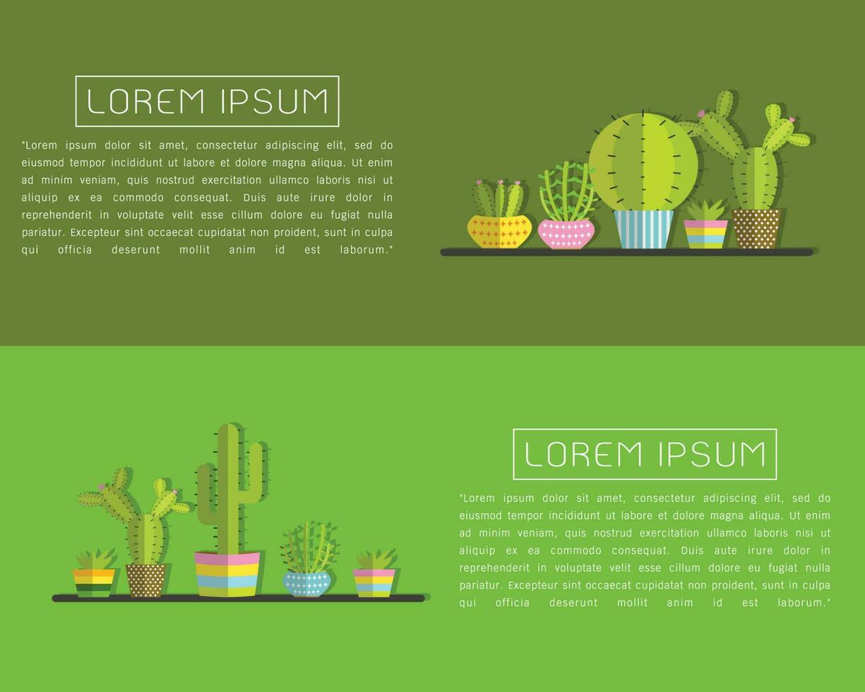 en saftig växter och kaktus vektor