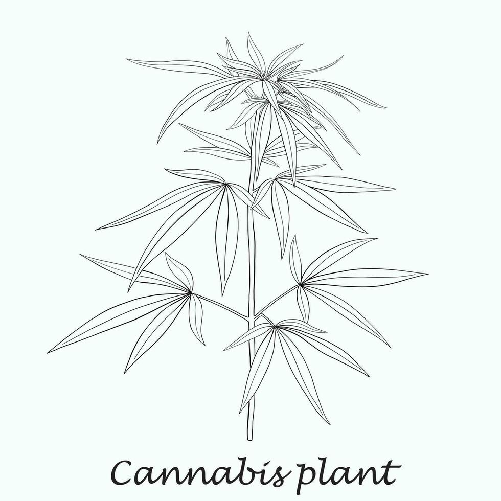 enkelhet cannabisväxt frihandsritning platt design. vektor