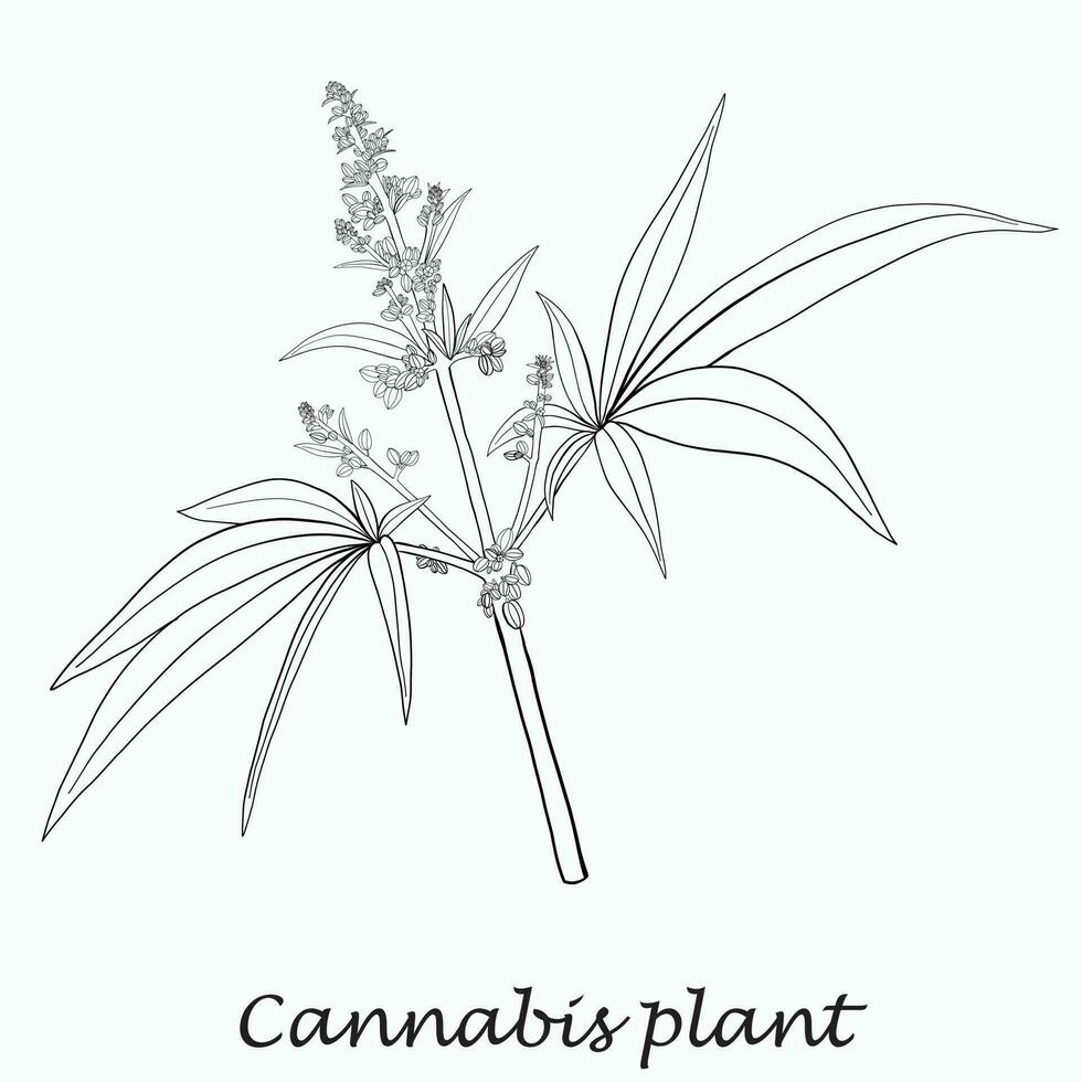 enkelhet cannabisväxt frihandsritning platt design. vektor