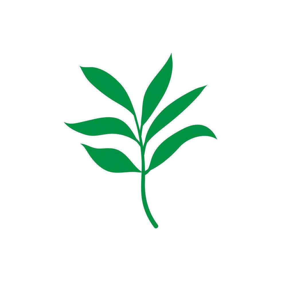 Grün Blatt Vektor Symbol. Botanik Illustration Zeichen . Ökologie Symbol. Öko unterzeichnen.