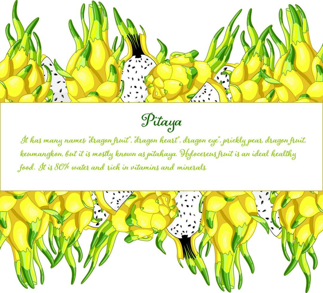 gott drake frukt rektangel ram. organisk Pitaya design element. exotisk gul pitahaya vektor illustration. utsökt kaktus bitar av vitaminer