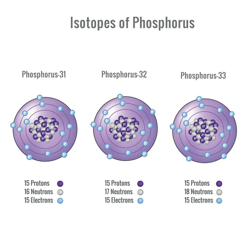 Isotope von Phosphor Atom 3d Vektor Illustration