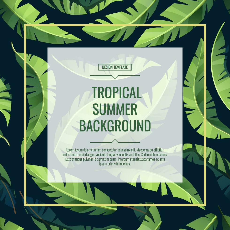 tropisch Hintergrund, Banner, Flyer mit Grün Palme Blätter. Platz Rahmen zum Dekor, Einladungen, usw vektor