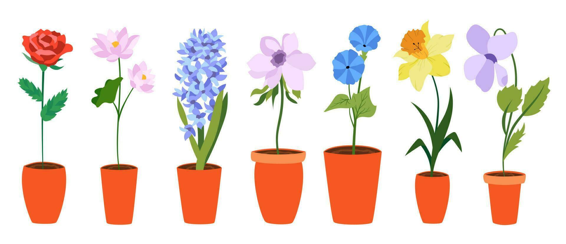 färgrik platt blommor i lång pott. perfekt för illustrationer och natur utbildning. vektor