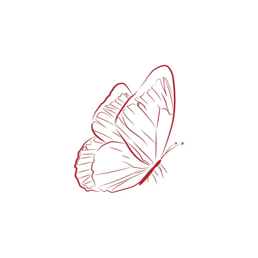 ein Vektor Bild von ein schön Schmetterling gemacht im ein rot Linie Kunst Stil