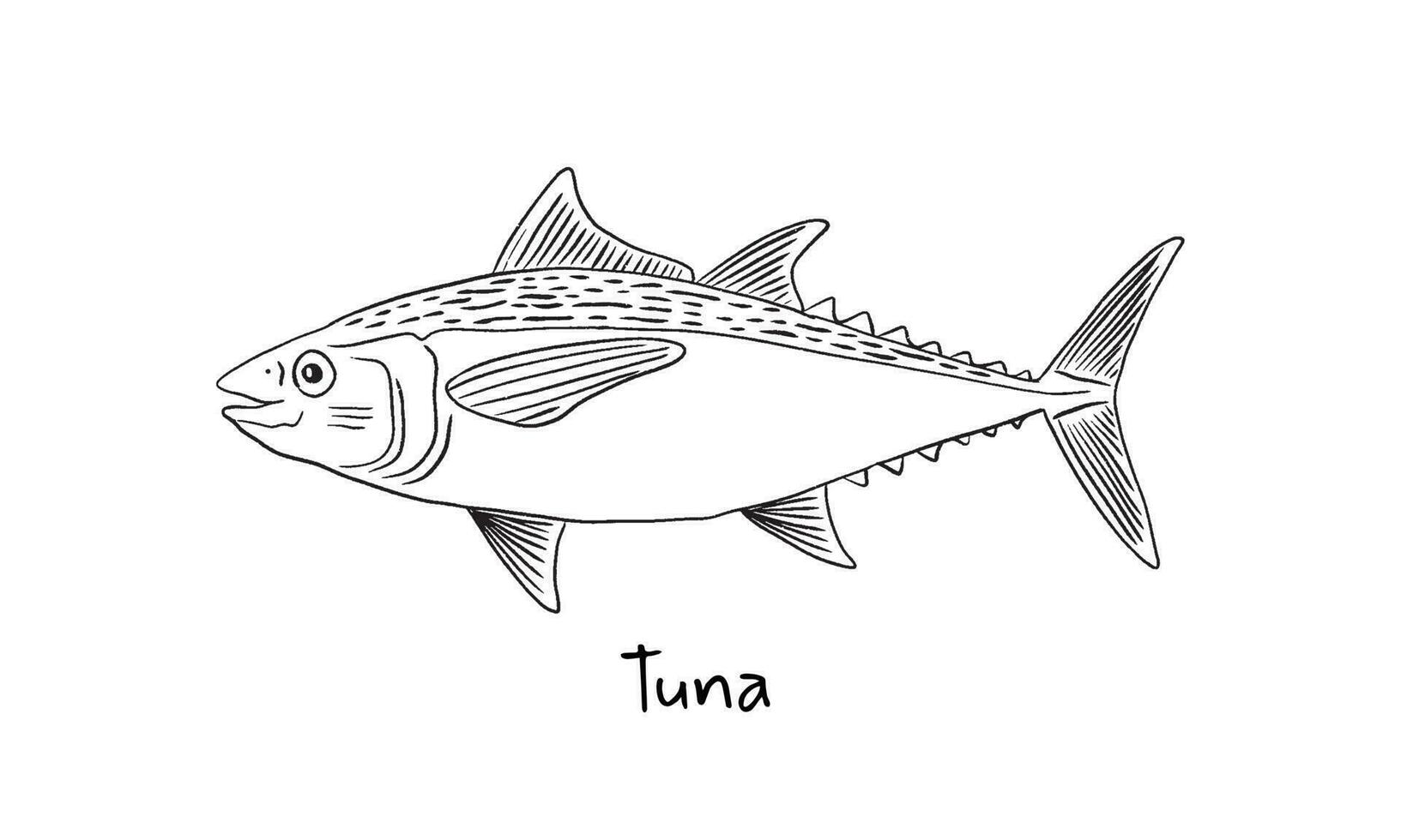 hand dragen tonfisk fisk i skiss stil. enkel vektor isolerat illustration på vit bakgrund