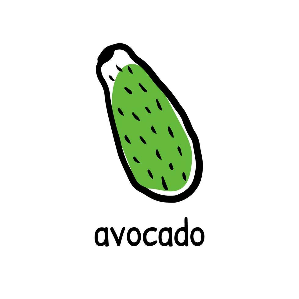 Gekritzel Grün Avocado Hand gezeichnet Farbe Vektor Illustration isoliert auf Weiß Hintergrund
