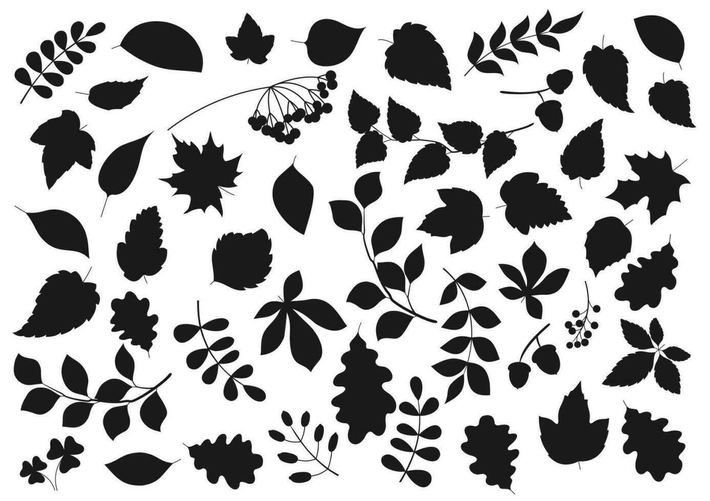 Blatt Silhouetten, Baum Blätter und Saat Symbole vektor