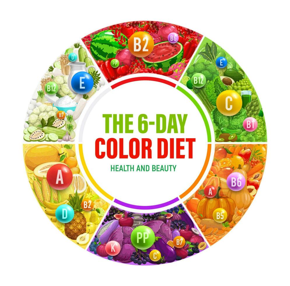 Farbe Regenbogen Diät Gesundheit Leistungen Infografiken vektor