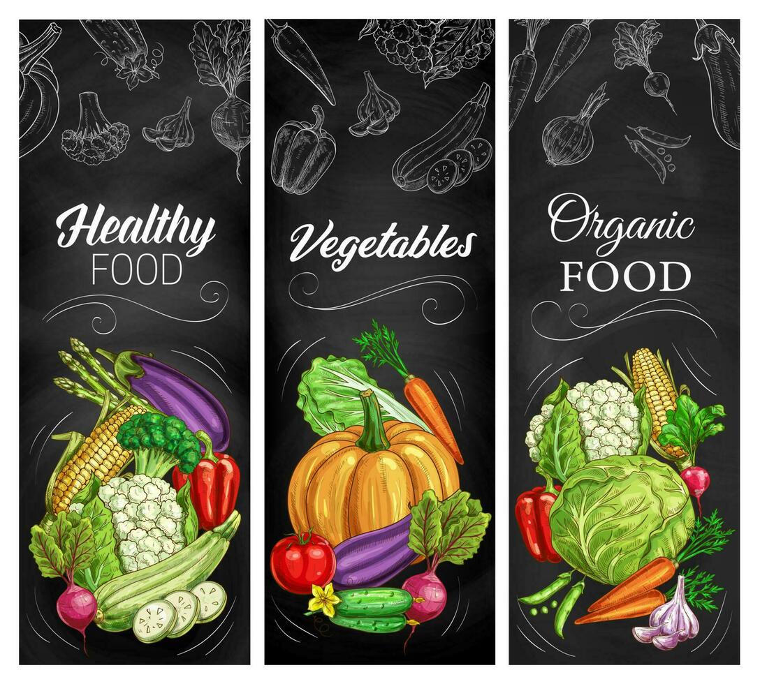 Gemüse Skizzen auf Tafel, Bauernhof Essen vektor