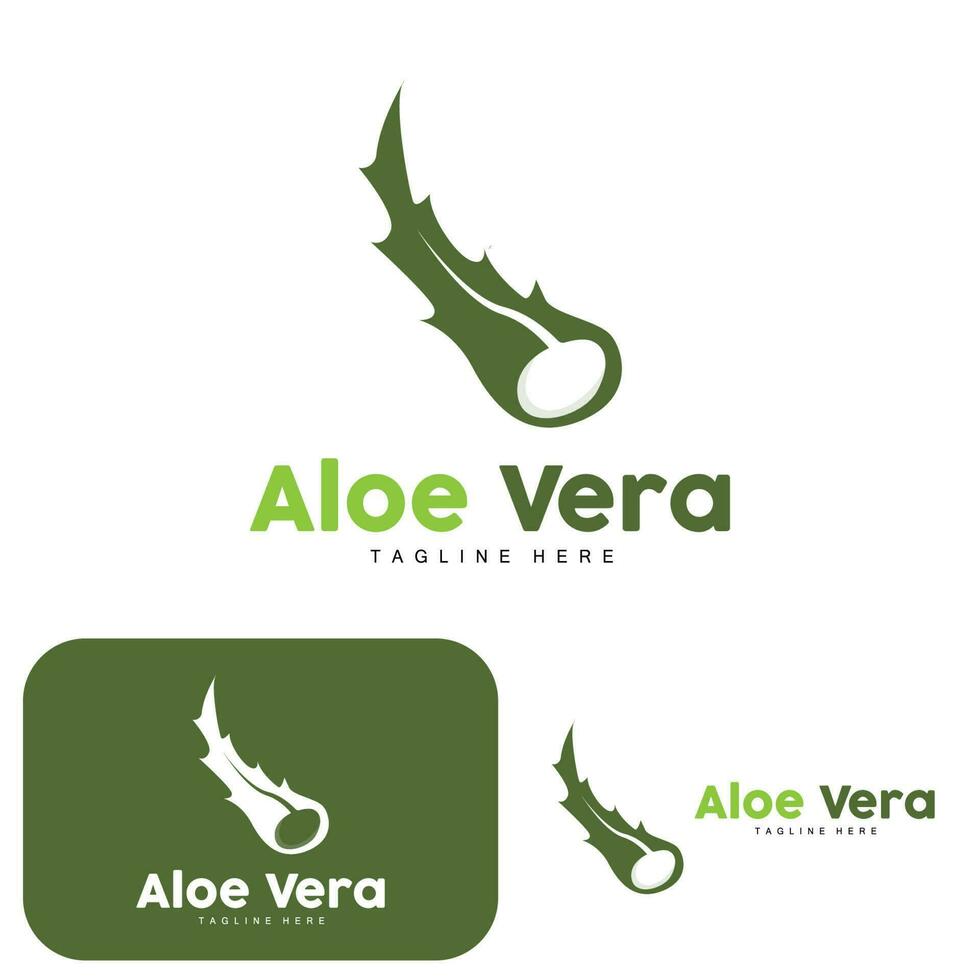 aloe vera logotyp, grön växt design, traditionell medicin och hud vård växt vektor, hår vård, symbol ikon illustration vektor