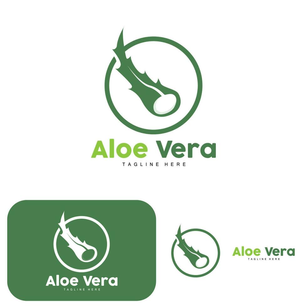 aloe vera logotyp, grön växt design, traditionell medicin och hud vård växt vektor, hår vård, symbol ikon illustration vektor