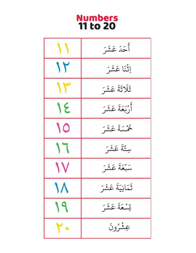 Arabisch Zahlen 11 zu 20 im Wörter vektor