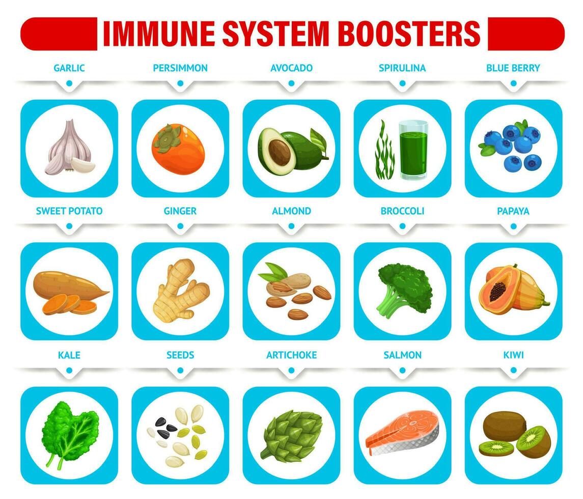 immun System Booster Diagramm mit gesund Essen vektor
