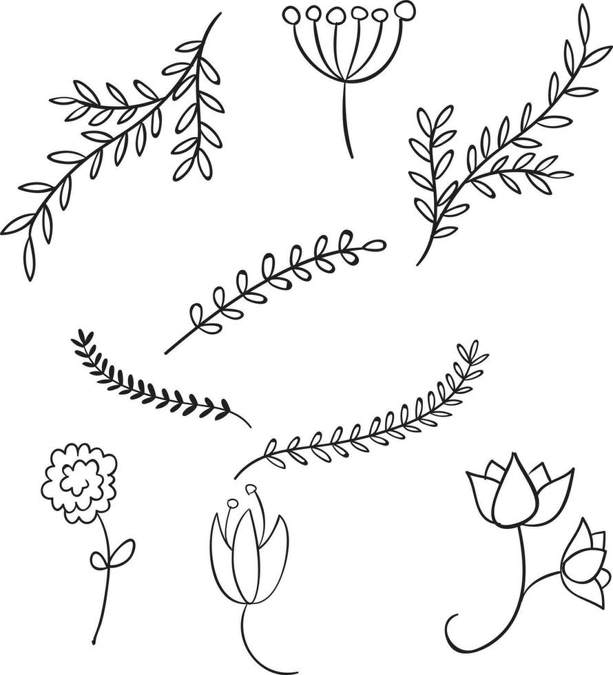 Hand gezeichnet Blumen- dekorativ Element vektor