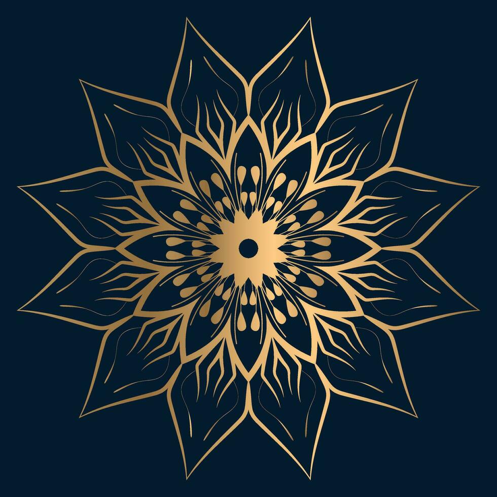 Luxus Mandala 1 vektor