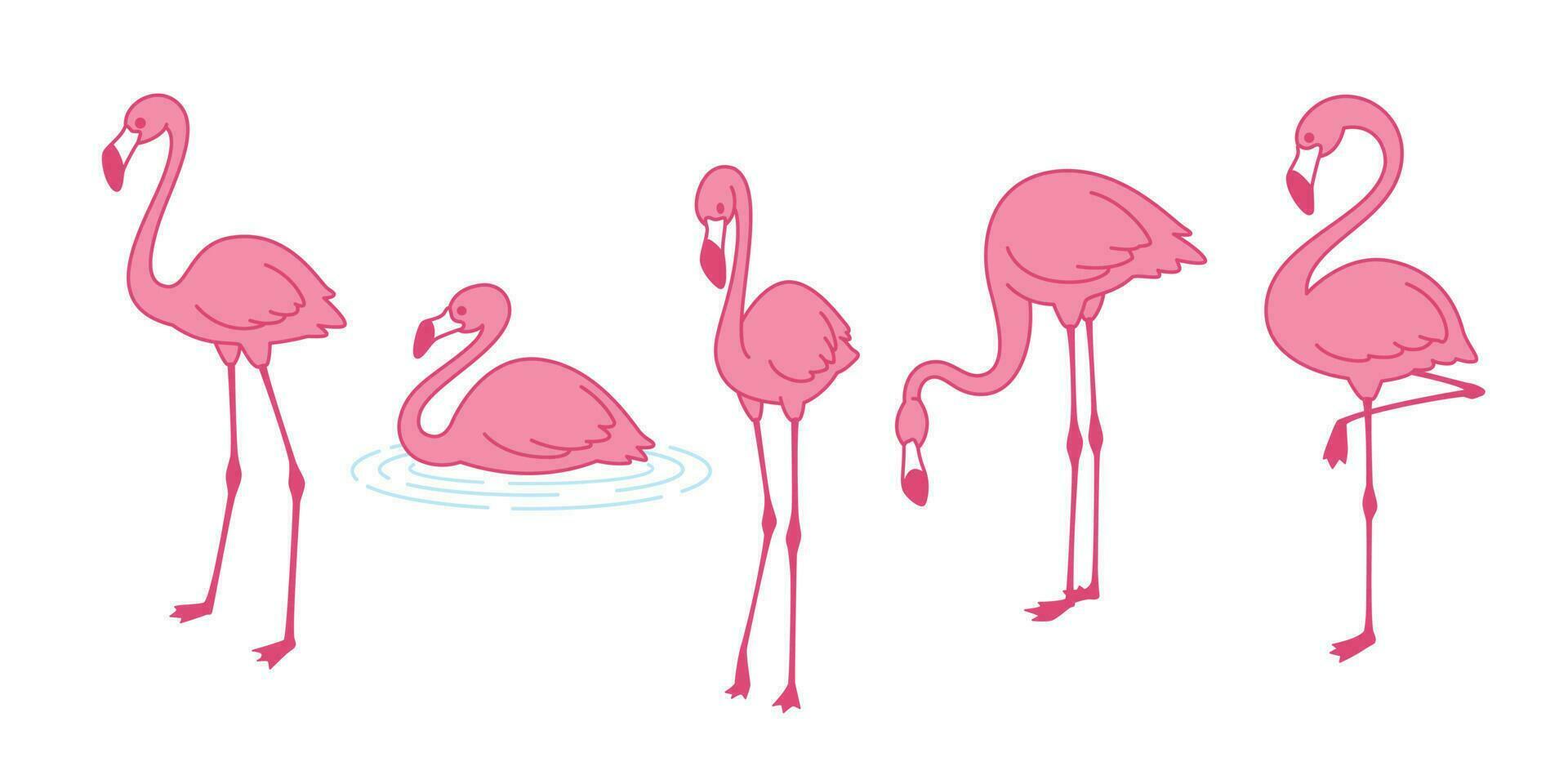 tecknad serie rosa flamingo vektor uppsättning ikon söt flamingos samling flamingo karaktär djur- exotisk natur vild fauna illustration klotter