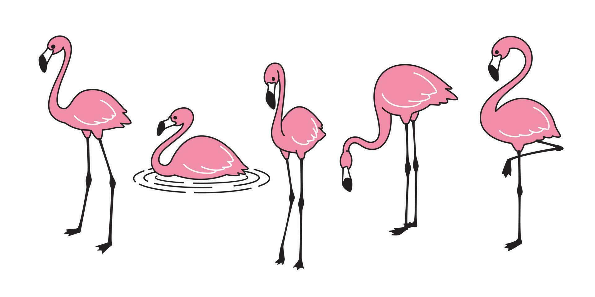 Karikatur Rosa Flamingo Vektor einstellen süß Flamingos Sammlung Flamingo Charakter Tier exotisch Natur wild Fauna Illustration Gekritzel