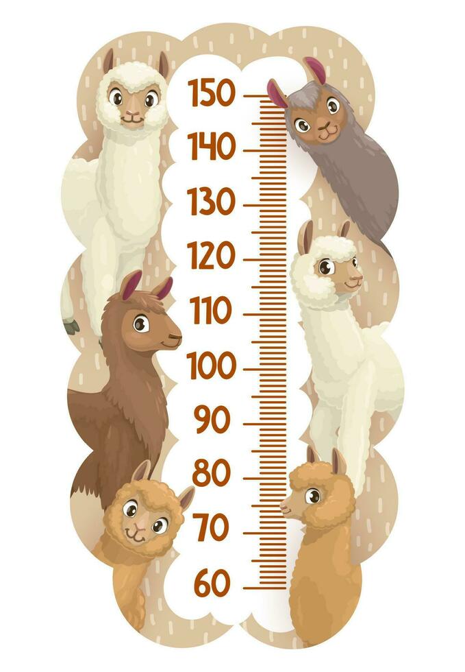 höjd Diagram, tillväxt mäta linjal med lamas vektor