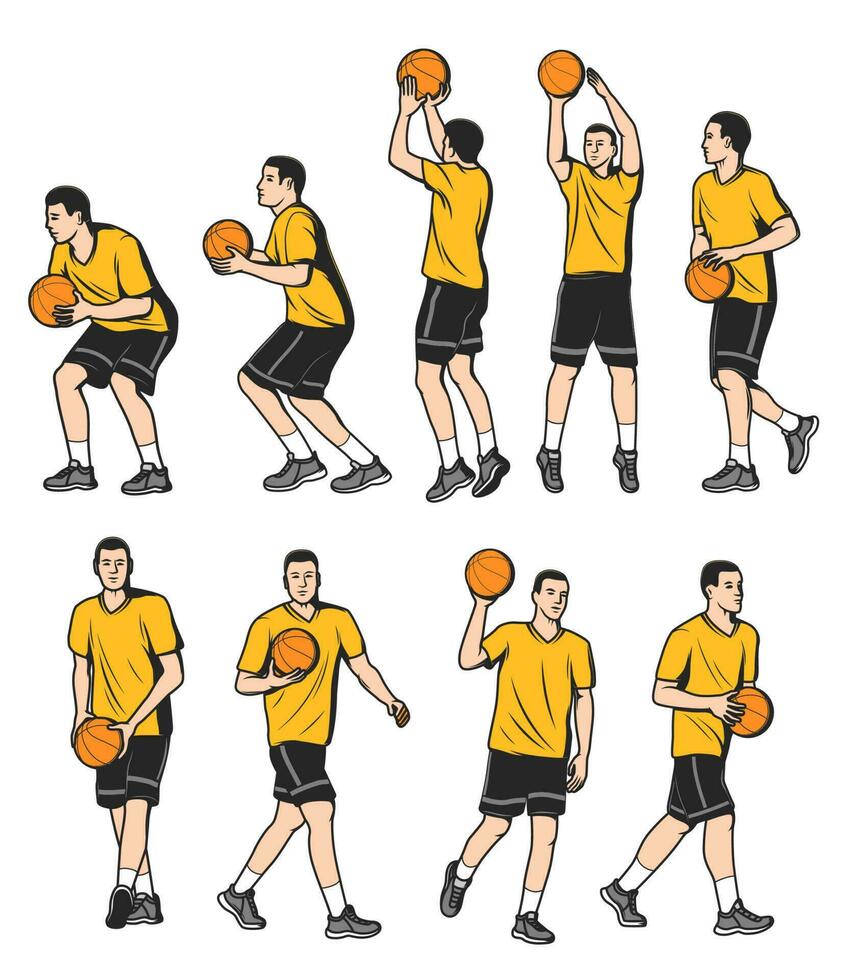 basketboll försvarare, framåt- och Centrum spelare vektor