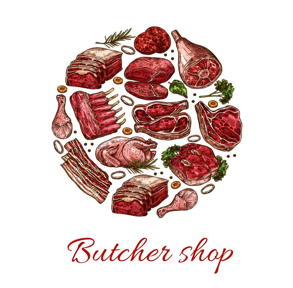 Schweinefleisch, Rindfleisch, Lamm und Hähnchen Fleisch skizzieren vektor