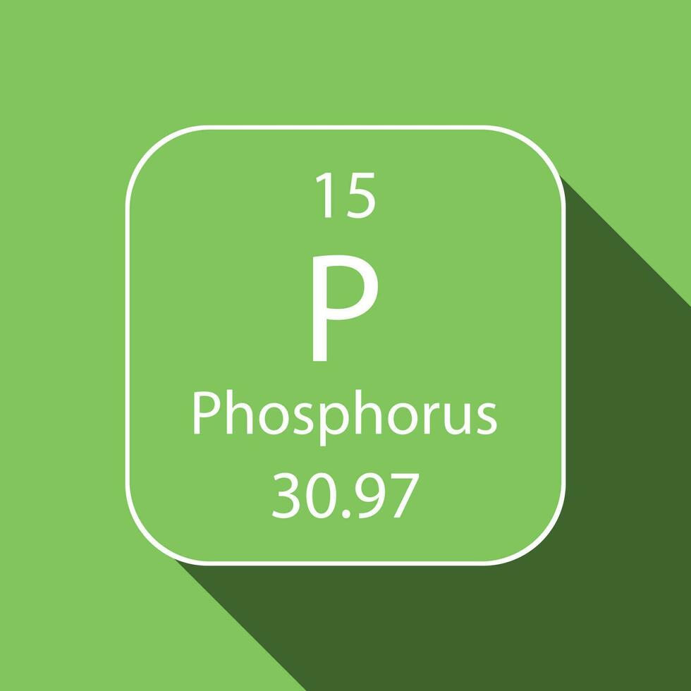 Phosphor Symbol mit lange Schatten Design. chemisch Element von das periodisch Tisch. Vektor Illustration.