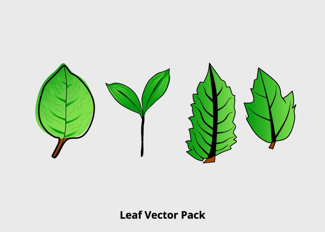 grön blad natur lövverk samling vektor